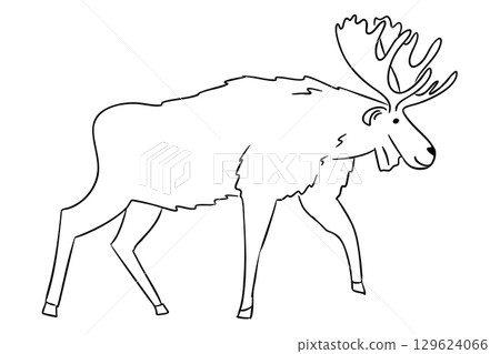 Moose with large antlers walking calmly, drawn in a simple doodle style 129624066