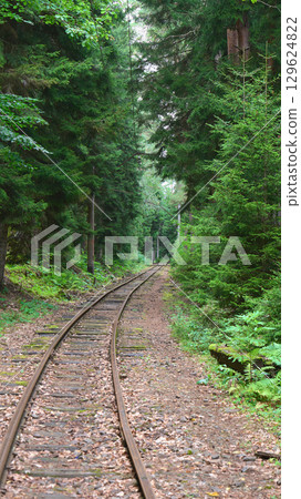 Rustic train tracks meander through dense trees and vibrant foliage in nature Rustic train tracks meander through dense trees and vibrant foliage in nature 129624822