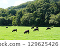A ranch surrounded by the forests of Hokkaido 129625426