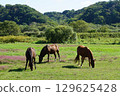 Horse ranch in Hokkaido, photographed in Niikappu Town 129625428
