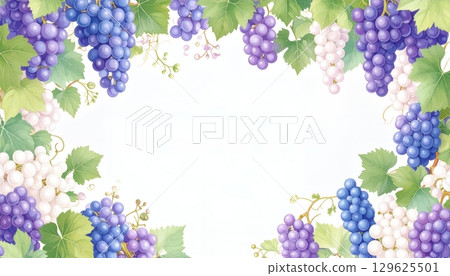 淡葡萄和綠葉框架 129625501