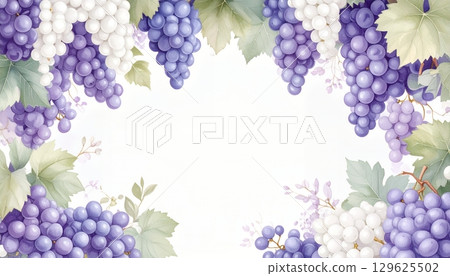 水彩紫色和白色葡萄邊框 水彩紫色和白色葡萄邊框 129625502