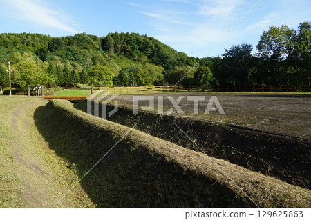 北海道平取鎮由井茶子笏 北海道平取鎮由井茶子笏 129625863
