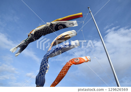 Carp streamer 129626569