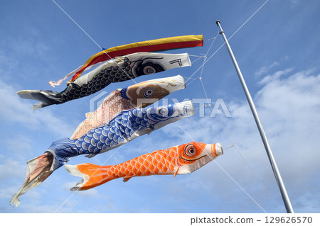 Carp streamer 129626570