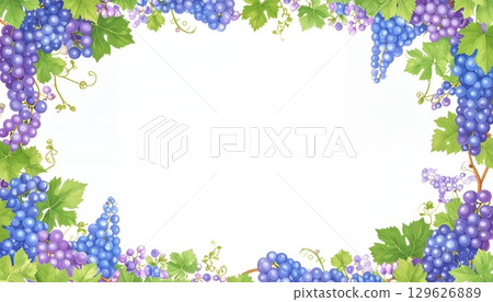 多彩的葡萄和藤蔓框架 129626889
