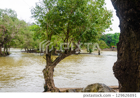 Kaveri River at Dubare Elephant Camp in Kushalnagar, Madikeri, Karnataka, India 129626891