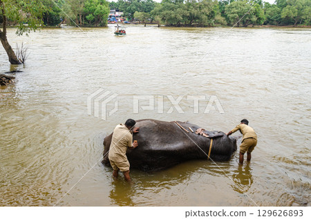 Kaveri River at Dubare Elephant Camp in Kushalnagar, Madikeri, Karnataka, India Kaveri River at Dubare Elephant Camp in Kushalnagar, Madikeri, Karnataka, India 129626893