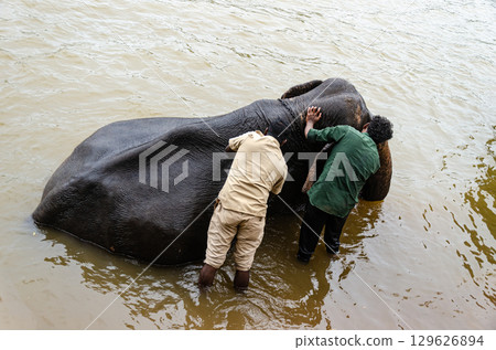 Kaveri River at Dubare Elephant Camp in Kushalnagar, Madikeri, Karnataka, India Kaveri River at Dubare Elephant Camp in Kushalnagar, Madikeri, Karnataka, India 129626894