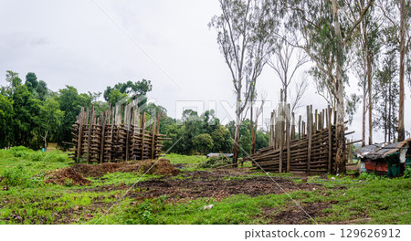A Elephant training facility at Dubare Elephant Camp in Kushalnagar, Madikeri, Karnataka, India 129626912
