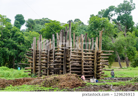 A Elephant training facility at Dubare Elephant Camp in Kushalnagar, Madikeri, Karnataka, India 129626913