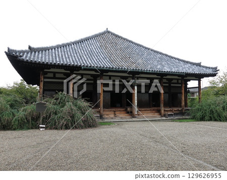 奈良市元興寺（極樂堂/本堂）盛開的胡枝子 129626955