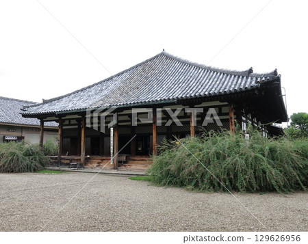 奈良市元興寺(極樂堂/本堂)盛開的胡枝子 奈良市元興寺(極樂堂/本堂)盛開的胡枝子 129626956