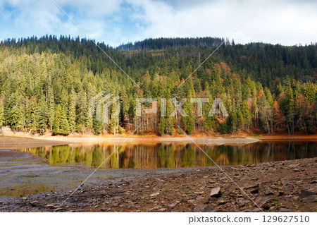 scenic landscape by the lake in autumn forest. beautiful scenery of synevyr national park in fall season. colorful environment reflection in the alpine pond. outdoor adventure in carpathian woods scenic landscape by the lake in autumn forest. beautiful scenery of synevyr national park in fall season. colorful environment reflection in the alpine pond. outdoor adventure in carpathian woods 129627510