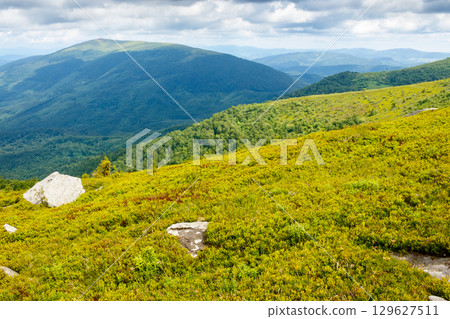 mountain landscape with stone on the hill in summer. nature background of carpathians for travel. beautiful view in to the valley. sandstone on the green alpine slope under cloudy sky mountain landscape with stone on the hill in summer. nature background of carpathians for travel. beautiful view in to the valley. sandstone on the green alpine slope under cloudy sky 129627511