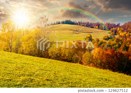 mountain landscape with forest in autumn at sunset. beautiful countryside in the highland. grove on the hill in colorful foliage under sky in evening light. nature background for outdoor adventure mountain landscape with forest in autumn at sunset. beautiful countryside in the highland. grove on the hill in colorful foliage under sky in evening light. nature background for outdoor adventure 129627512