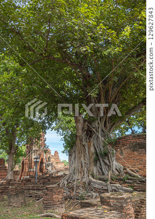 泰國大城府遺址 129627843