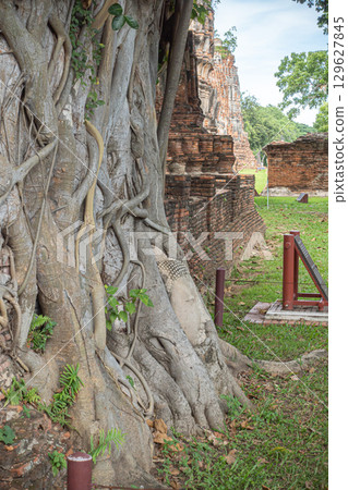 泰國大城府遺址 129627845