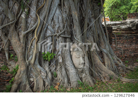 泰國大城府遺址 129627846