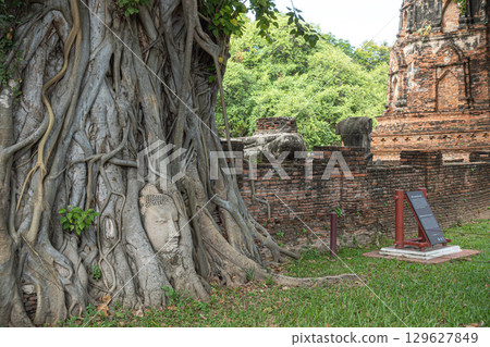 泰國大城府遺址 129627849