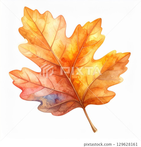Watercolor Painting of a Autumnal Leaf in Orange Yellow and Brown Isolated on White 129628161