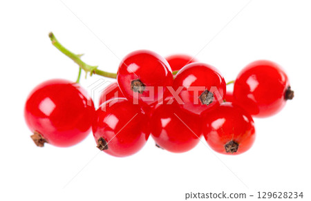 Red currant isolated on white background. Redcurrant or Ribes rubrum ripe berries. 129628234