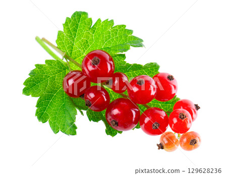 Red currant isolated on white background. Redcurrant or Ribes rubrum ripe berries with green leaves. 129628236