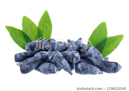 Honeysuckle berry isolated on white background. Fresh honeysuckle blue berry fruits with green leaves. Clipping path. 129628240