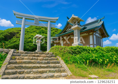 Young leaves and fresh greenery at the Okitsumiya Worship Site of Munakata Taisha Shrine 129628251
