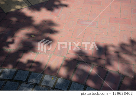 Brick road and tree shade 129628462