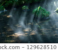 森林中的一條小溪，光線透過 129628510
