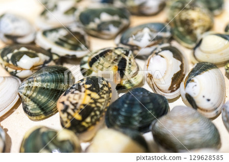 Clam sand removal Clam sand removal 129628585