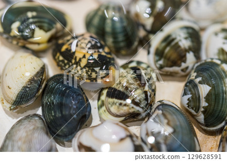 蛤沙去除 蛤沙去除 129628591