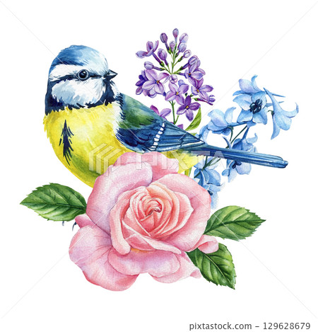 Blue tit bird with pink rose lilac and blue flowers watercolor floral botanical illustration on Isolated Background for design 129628679