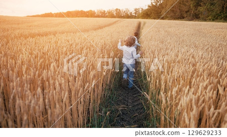 Little Boys Running Wheat Field Path, Touching Golden Ears. Rural life, family 129629233