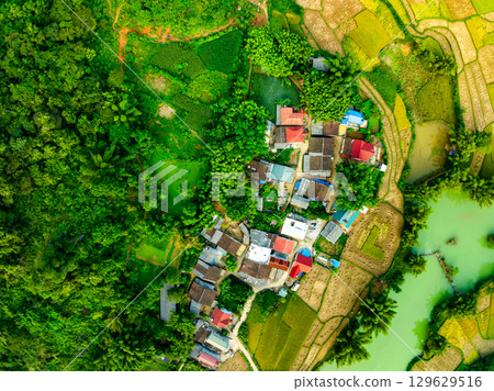 Aerial top view of Green rice field at northern vietnam,Beautiful destination in Northern Vietnam,Travel and landscape concept, Nature and rice fields background 129629516