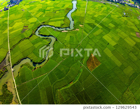 Aerial top view of Green rice field at northern vietnam,Beautiful destination in Northern Vietnam,Travel and landscape concept, Nature and rice fields background 129629543