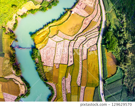 Aerial top view of Green rice field at northern vietnam,Beautiful destination in Northern Vietnam,Travel and landscape concept, Nature and rice fields background 129629570