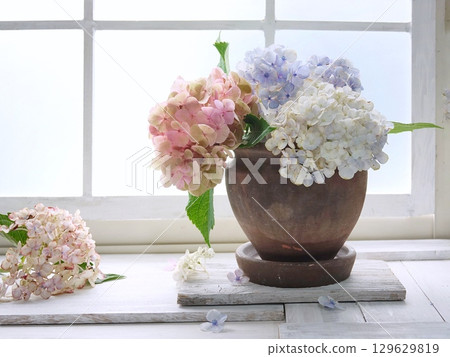 Hydrangeas on the windowsill Hydrangeas on the windowsill 129629819