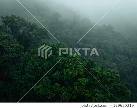 Aerial view of beautiful tropical forest mountain landscape in spring 129630319