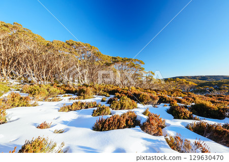 Mt St Gwinear Sunset in Australia Mt St Gwinear Sunset in Australia 129630470