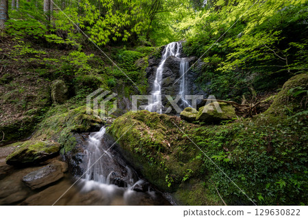 Kamega Fuchi (Obama City, Fukui Prefecture) 129630822