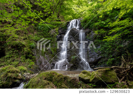 Kamega Fuchi (Obama City, Fukui Prefecture) Kamega Fuchi (Obama City, Fukui Prefecture) 129630823