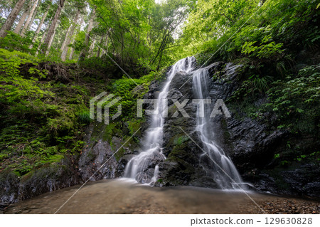 Kamega Fuchi (Obama City, Fukui Prefecture) 129630828