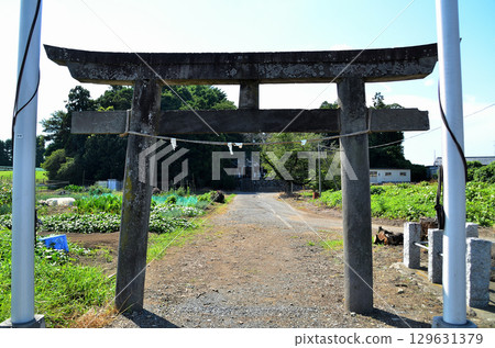 Hachiman Shrine in Orinokuchi, Fukaya City, Saitama Prefecture 129631379