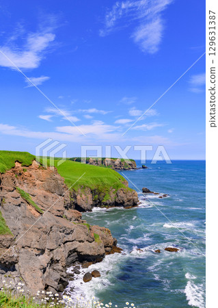 從琵琶瀨（北海道浜中町）眺望的建木奇島和太平洋的夏季風景 129631387