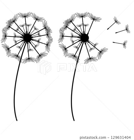 dandelion icon. taraxacum sign. flower logo. flat style. 129631404