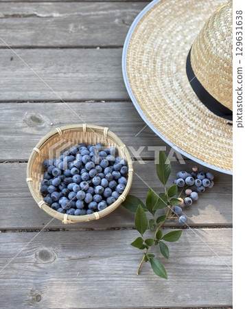Blueberry Harvest Blueberry Harvest 129631638