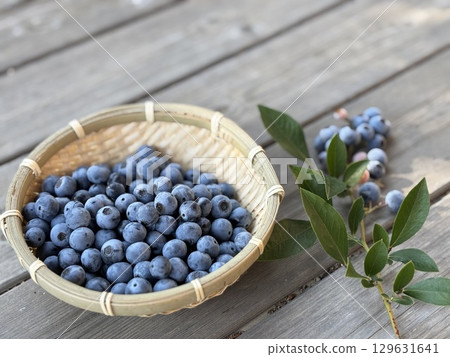 藍莓收穫 129631641