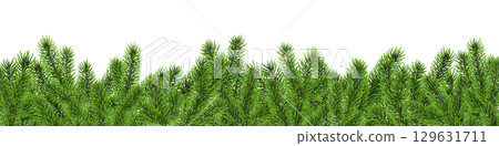 Christmas tree border, fir branch banner, pine background 129631711